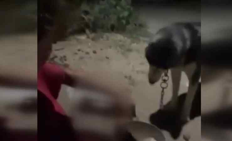 Polatlı'da köpeğe alkol içiren kişi hakkında adli işlem başlatıldı