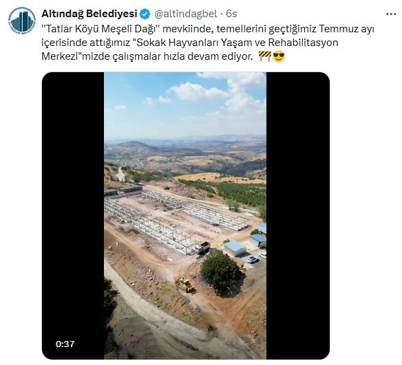 Altındağ Belediyesi duyurdu: Sokak Hayvanları Yaşam ve Rehabilitasyon Merkezinde son durum!
