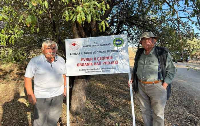 Evren'de Ata tohumundan elde edilen üzümlerin hasadı başladı!