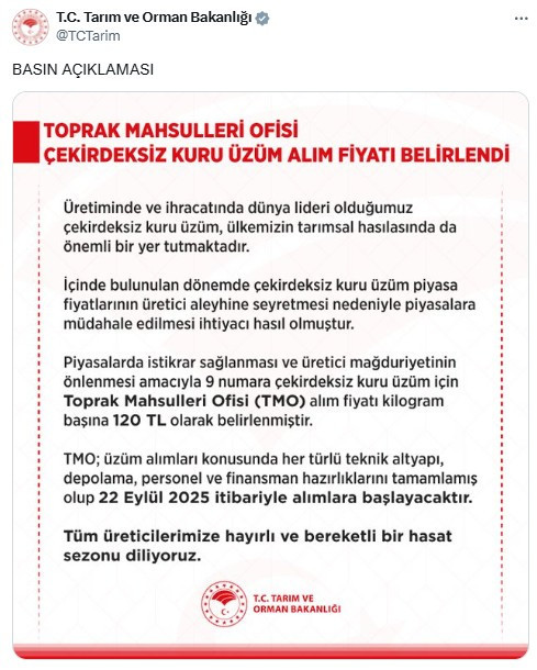 TMO, çekirdeksiz kuru üzüm alım fiyatını açıkladı
