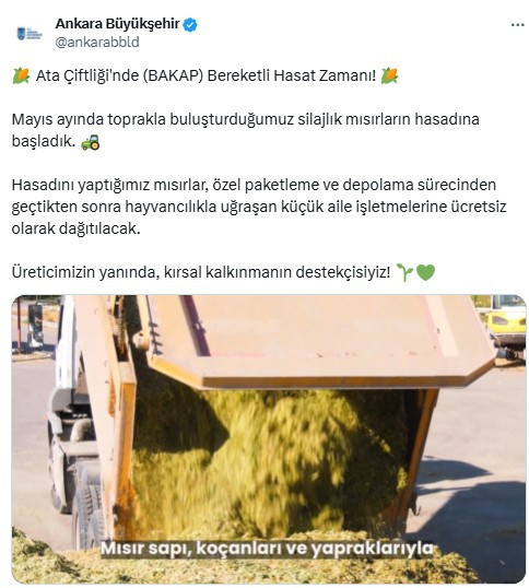 ABB, ATA Çiftliği'nde üretilen mısırları küçük aile işletmelerine dağıtacak!