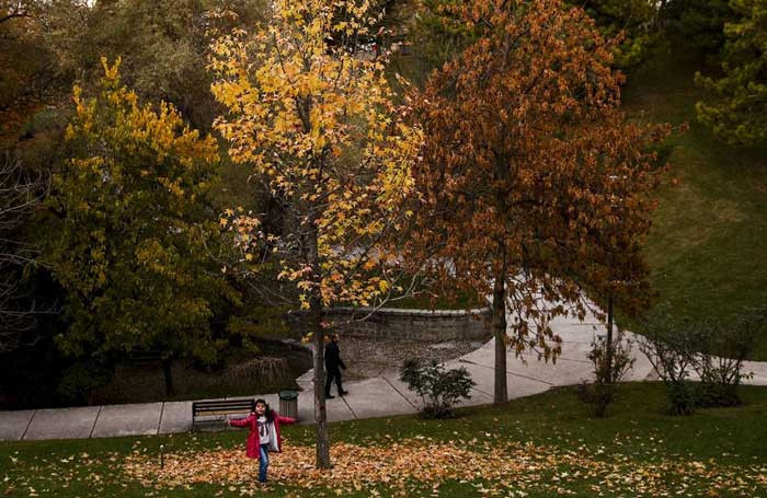 Ankara'da sonbahar en güzel bu parkta yaşanıyor, selfie tutkunları buraya koşuyor! - Resim : 3