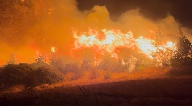 Bursa'da çıkan orman yangınına müdahale sürüyor - Resim : 2
