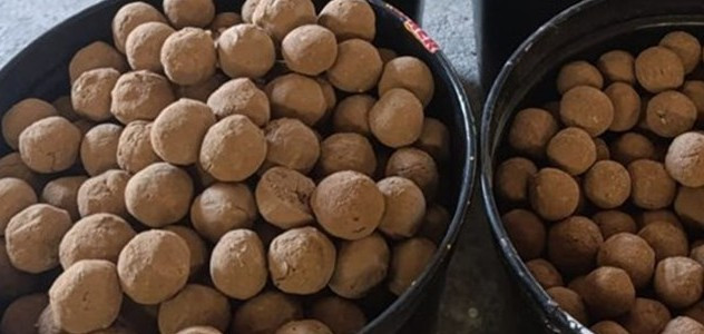 Beypazarı TMO orman yangınlarına karşı 20 bin tohum topu üretti - Resim : 4