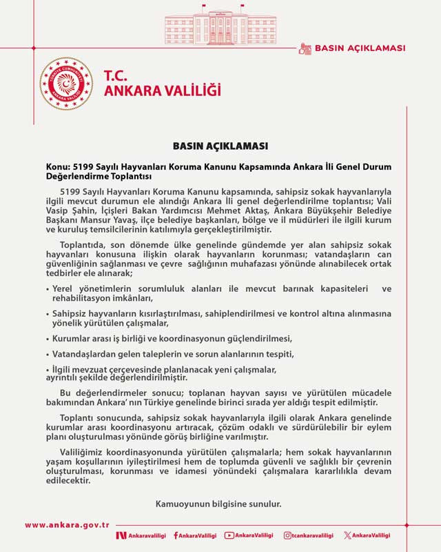 Ankara en fazla sahipsiz sokak hayvanının toplandığı il oldu