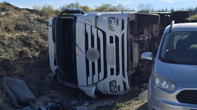 Haymana'da hayvan yüklü tır devrildi! 2 inek telef oldu
