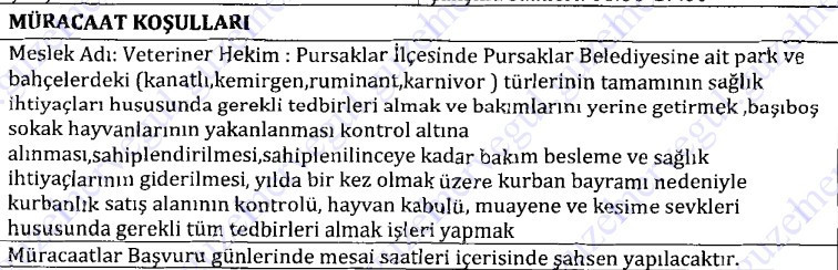 Pursaklar Belediyesi deneyimli veteriner hekim alacak!
