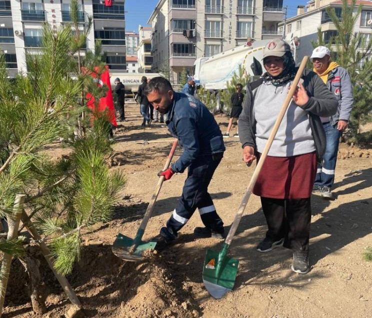 Sincan'da 244 fidan toprakla buluştu! - Resim : 2