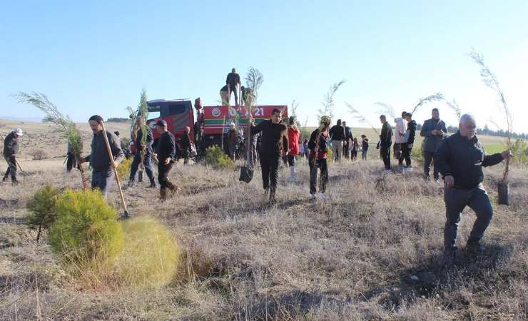 Beypazarı'nda hatıra ormanı için 250 fidan toprakla buluşturuldu