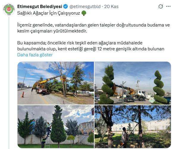 Etimesgut Belediyesi ilçe genelinde budama ve kesim çalışması gerçekleştirdi