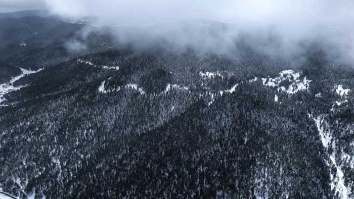 Kızılcahamam, Çubuk ve Çamlıdere'de yaylalar beyaza büründü - Resim : 3