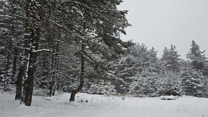Kızılcahamam, Çubuk ve Çamlıdere'de yaylalar beyaza büründü - Resim : 2