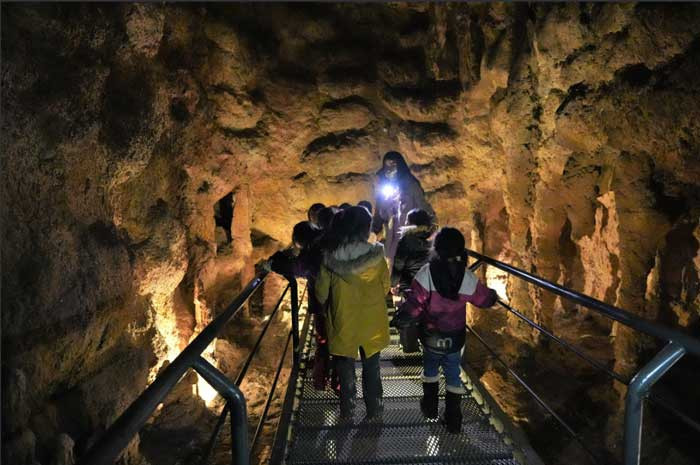 Keçiören Belediyesi  4–5 yaş grubu öğrencileri tabiat tarihiyle buluşturdu