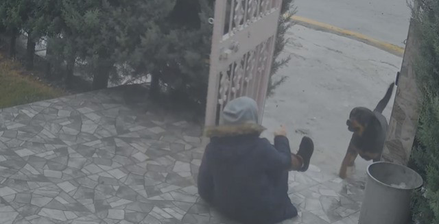 Elmadağ'da köpeklerin saldırdığı kadını kurtaran komşu yaşananları anlattı