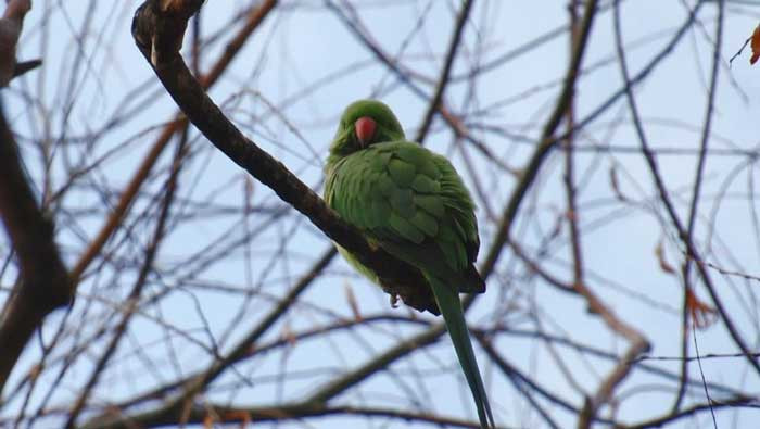 30 sene önce Ankara'da devrilen kamyon bugün nelere neden oldu? Şimdi her yerdeler - Resim : 4