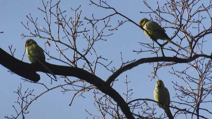 30 sene önce Ankara'da devrilen kamyon bugün nelere neden oldu? Şimdi her yerdeler - Resim : 3