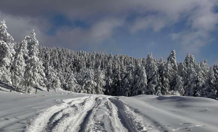 Beypazarı Eğriova Yaylası'nda kartpostalları kıskandıracak kar manzaraları oluştu - Resim : 2