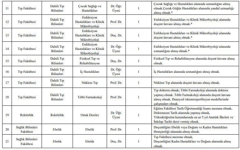 Yüksek İhtisas Üniversitesi, Öğretim Üyesi alım ilanı yayımladı - Resim : 2