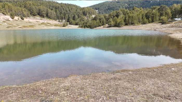 Kızılcahamam'da baharın m&uuml;jdecisi &ccedil;iğdemler &ccedil;i&ccedil;ek a&ccedil;tı