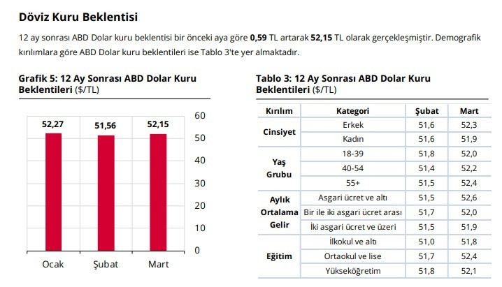 Merkez Bankası beklenti anketi yayımlandı: 2026 yıl sonu ve 2027 dolar kuru, enflasyon tahmini - Resim : 2