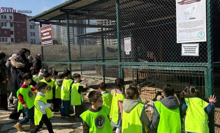 Pursaklar Belediyesi minikleri Endemik Vadi'de ağırladı