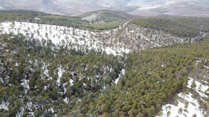 Yozgat kış ile baharı aynı anda yaşıyor