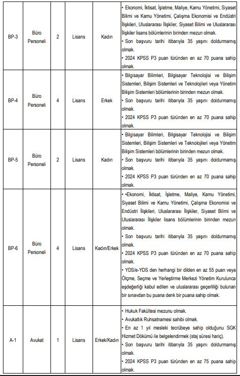 YÖK'ten sözleşmeli personel alım ilanı: Güvenlik görevlisi, şoför, teknisyen, büro ve destek personeli! - Resim : 3