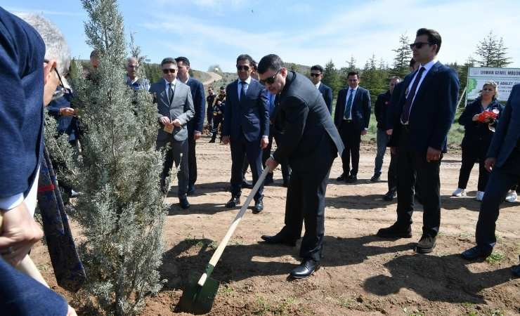 Vali Vasip Şahin, fidan dikip "daha yeşil bir Ankara" mesajı verdi