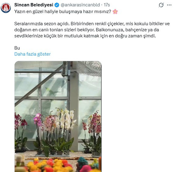 Sincan Belediyesi, Serapark ve Harikalar Sera'sında canlı çiçek satışına başladı