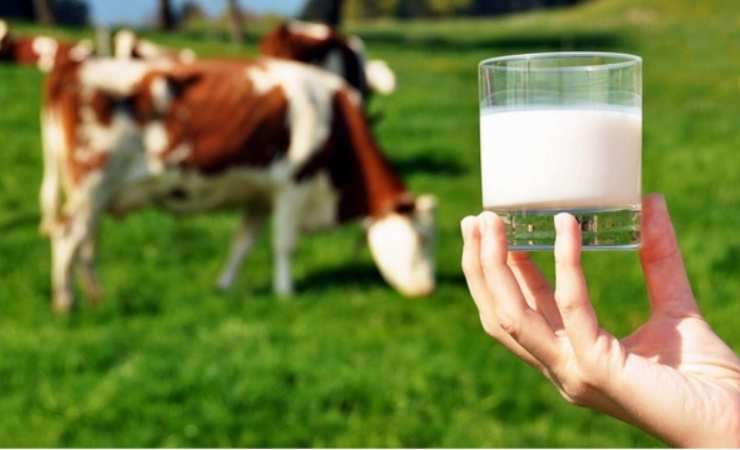 Çiğ süt tavsiye fiyatına zam yapıldığı açıklandı