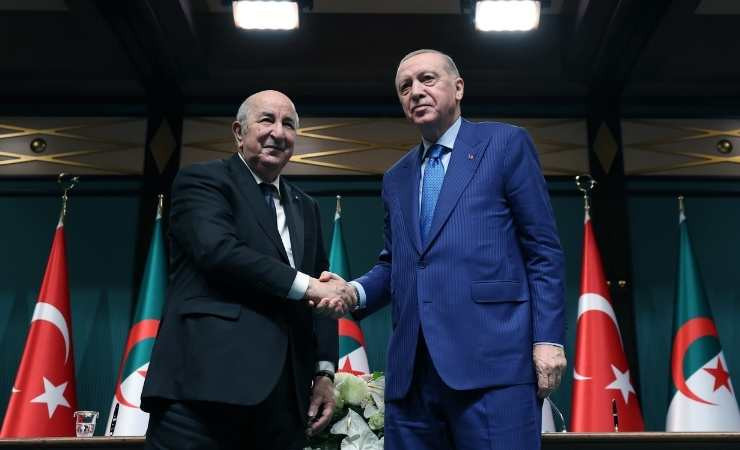 Cumhurbaşkanı Erdoğan: "Cezayir ile iş birliğimizi geliştirmekte kararlıyız"