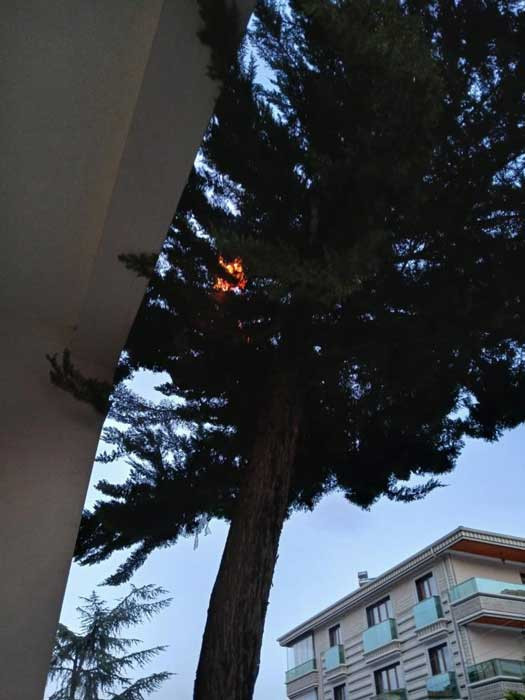 Ke&ccedil;i&ouml;ren'de aynı ağa&ccedil; 2 kere yandı, daire kullanılamaz hale geldi