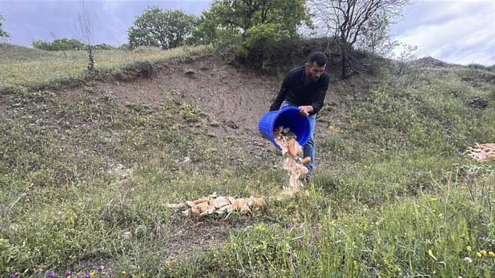 Ankara'da iyilik hareketi: Hurdacılık yapan adam çöpe atılan ekmekleri hayvanlara ulaştırıyor! - Resim : 4