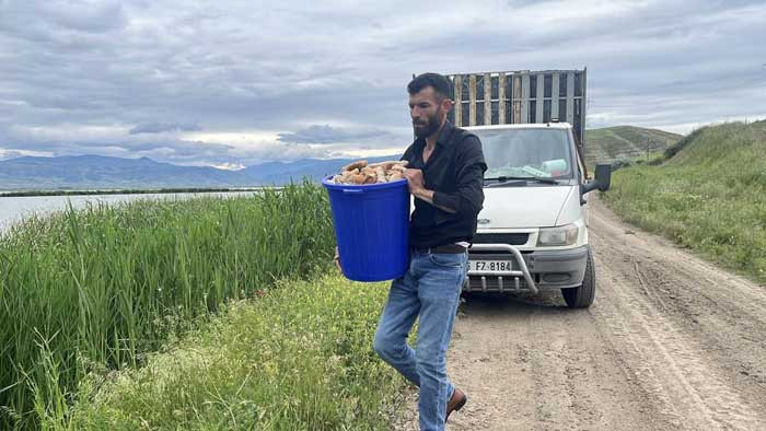 Ankara'da iyilik hareketi: Hurdacılık yapan adam çöpe atılan ekmekleri hayvanlara ulaştırıyor! - Resim : 5