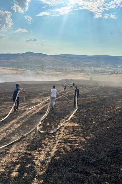 Nallıhan'da arazi yangını erken ihbarla büyümeden söndürüldü