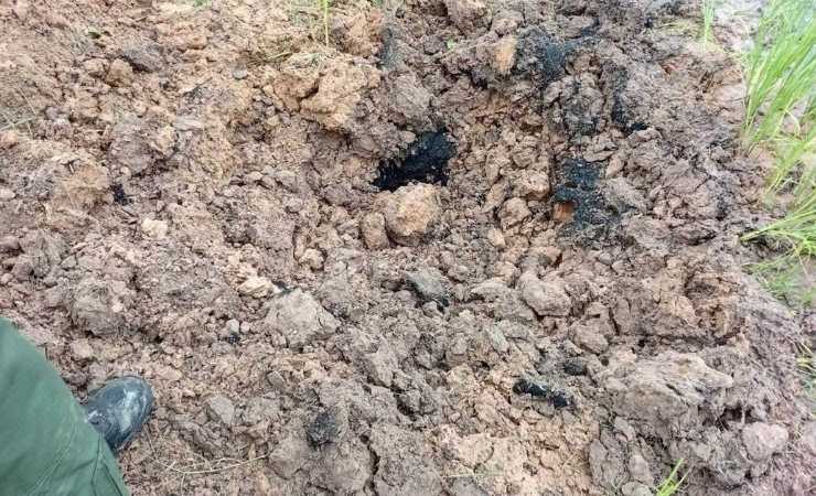 Tayland'da bir evcil köpek, bulduğu el bombasını eve getirdi