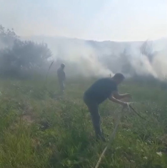 Beypazarı'nda ağaçlık alanda çıkan yangına itfaiye müdahale etti