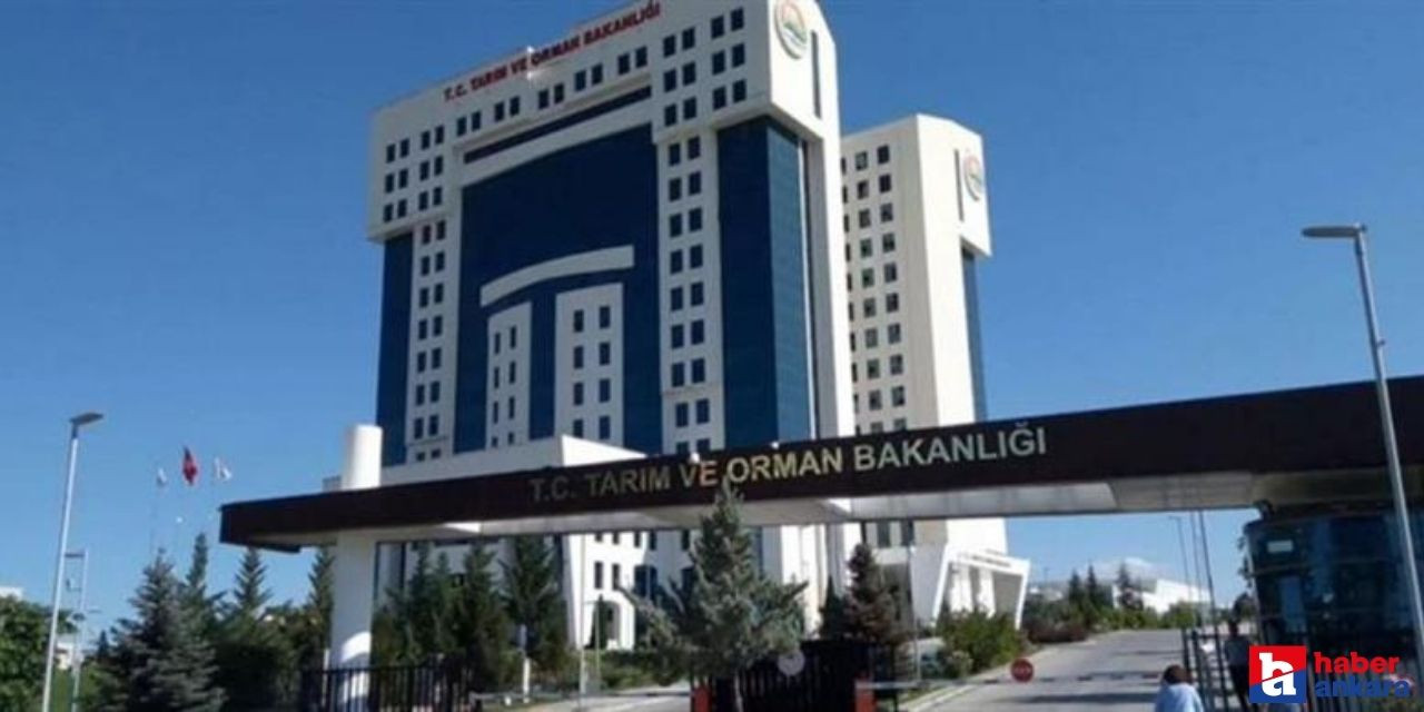 Tarım ve Orman Bakanlığı personel alımı yapacak! Başvuru detayları belli oldu