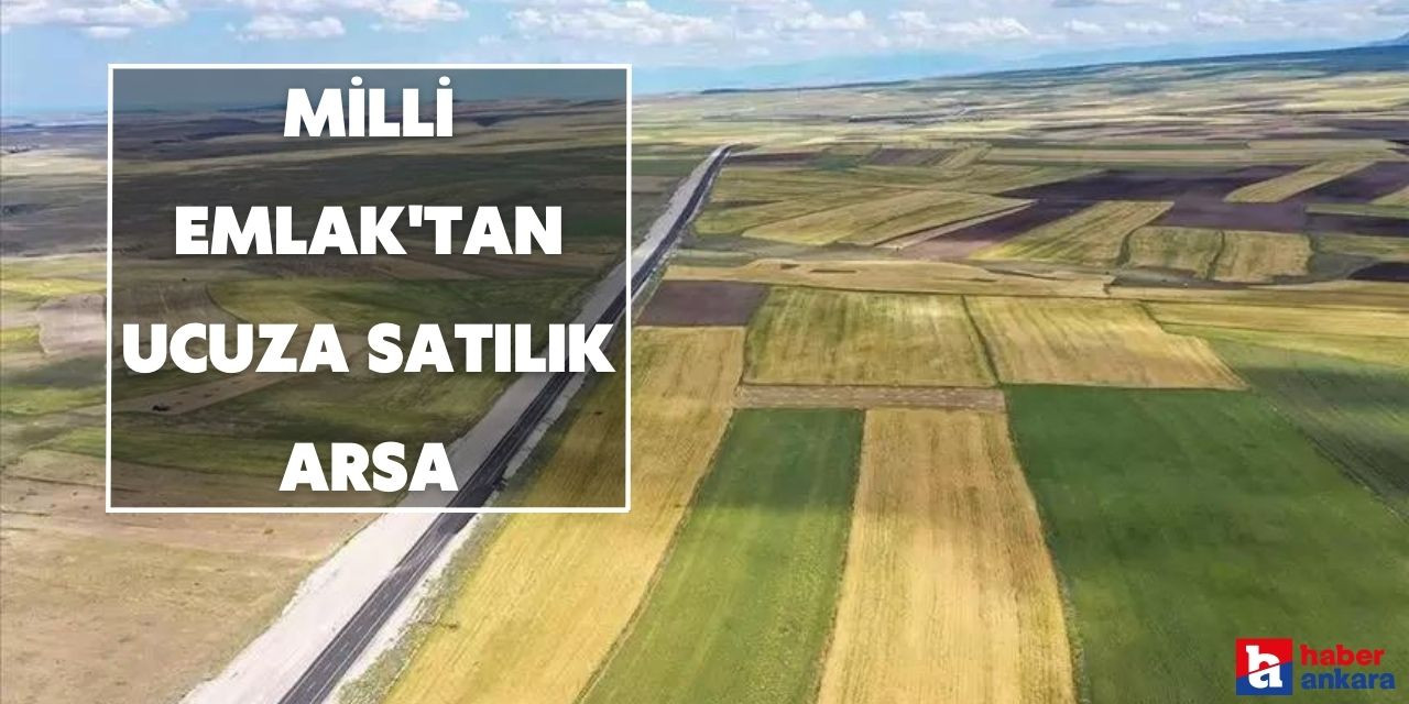 Milli Emlak Ankara'da arsa satışı başlattı! Metrekaresi 331 liradan arsa sahibi olun