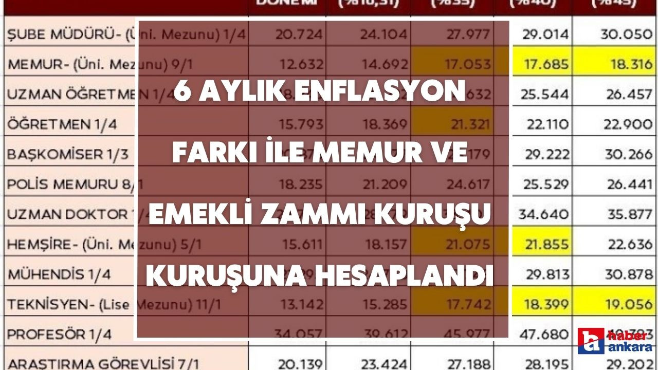 TÜİK 6 aylık enflasyon farkını açıkladı! Memur grubu ve emekli zammı kuruşu kuruşuna hesaplandı