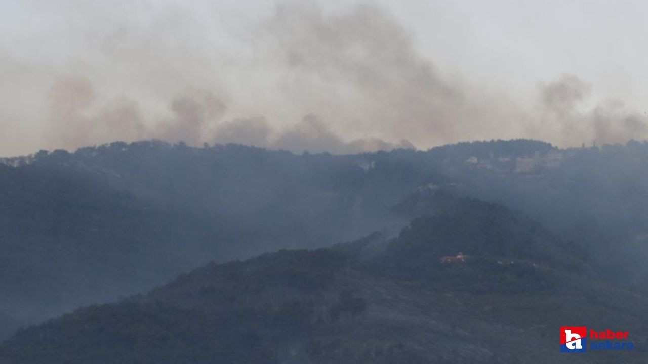 Orman yangınları devam ediyor! 7 ev zarar gördü! 2 kişi gözaltına alındı!