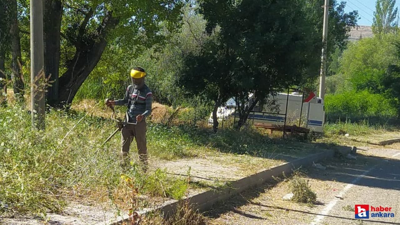 Ankara'nın Güdül ilçesinde yabani ot temizliği yapılıyor!