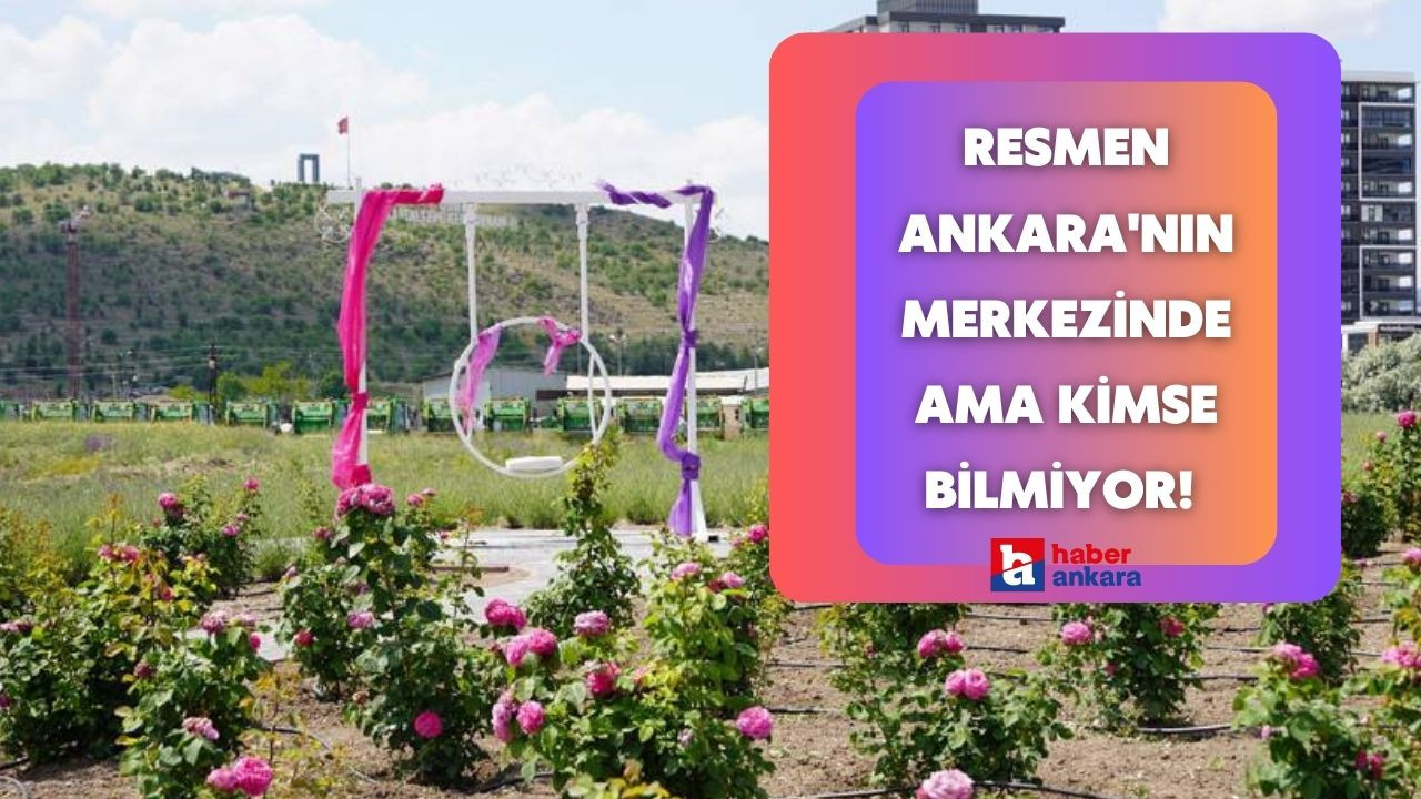 Ankara'nın resmen merkezinde ama kimse bilmiyor! Her ayrıntısında fotoğraf karesi gizli