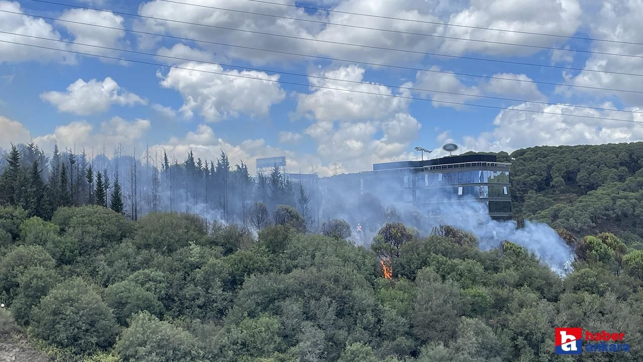 İstanbul'da yangın çıktı! Megakent orman yangınında son durum!