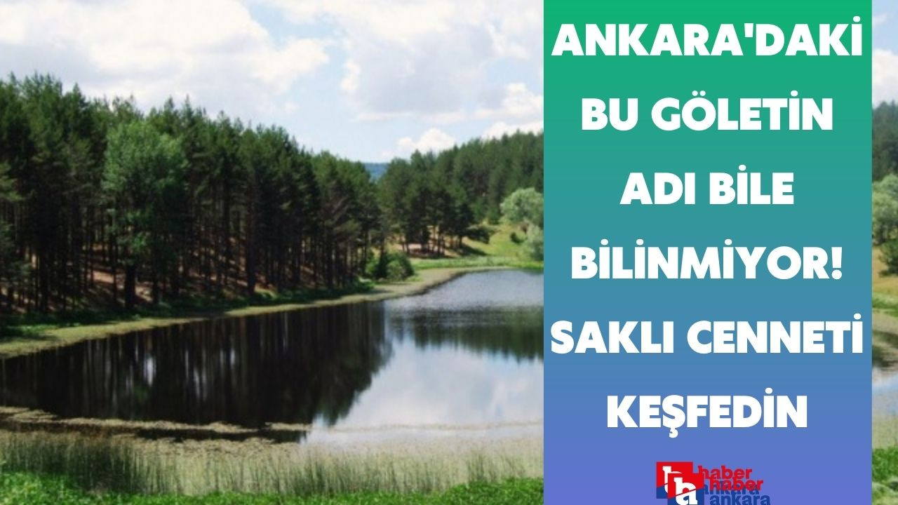 Ankara'da öyle bir göl var ki adı bile bilinmiyor! Binlerce canlı türünü ağırlayan saklı cenneti keşfedin