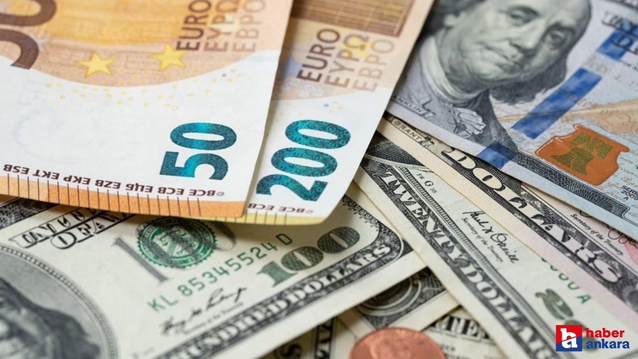 Dolar mı yoksa euro mu daha çok kazandıracak? Uzman ekonomistler öyle bir açıklama yaptı ki