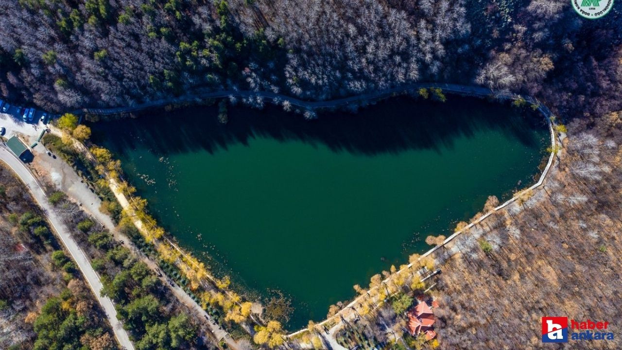 Ankara'nın huzur dolu kaçış noktası! Karagöl Tabiat Parkı