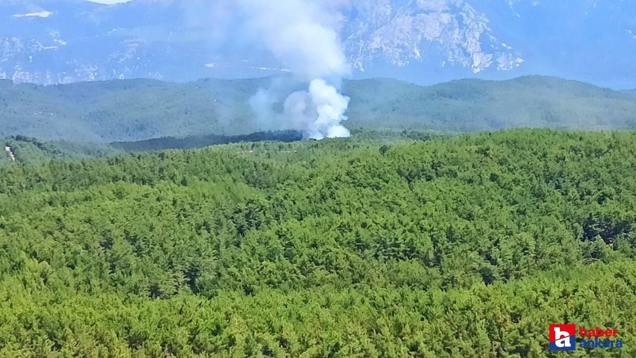 Orman yangınları bitmek bilmiyor! Bir yangında o ilde çıktı!