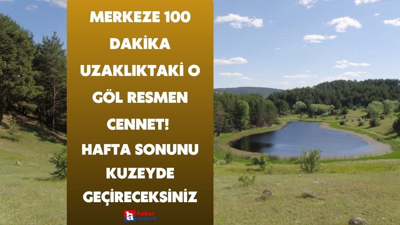 Ankara'nın merkezine 100 dakika uzaklıktaki o göl resmen cennet! Hafta sonunu kuzeyde geçireceksiniz