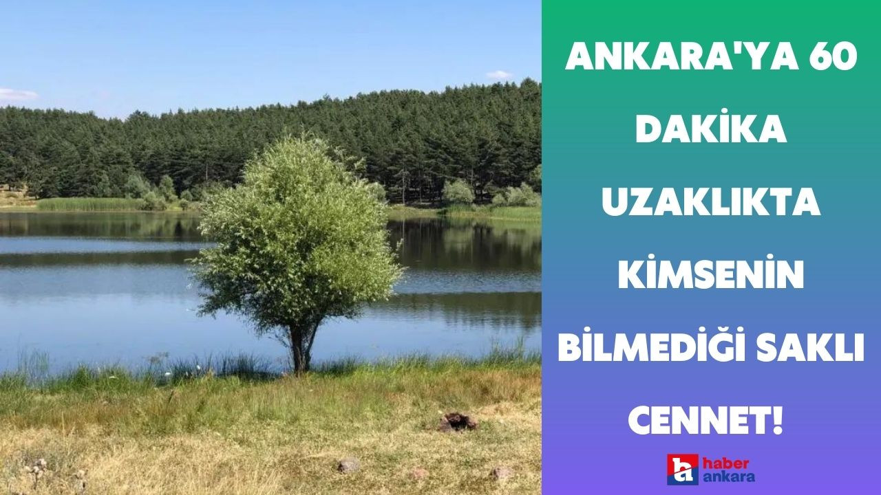 Ankara'ya 60 dakika uzaklıkta kimsenin bilmediği saklı cennet! Ayak basılmamış gölet kampçıların gözdesi olacak